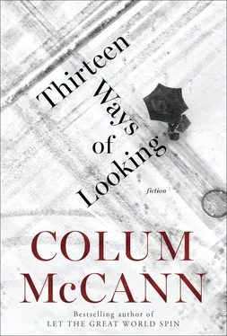 Colum McCann Thirteen Ways of Looking обложка книги