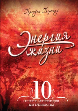Брендон Берчард Энергия жизни. 10 секретов активизации внутренних сил обложка книги