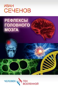 Иван Сеченов Рефлексы головного мозга обложка книги