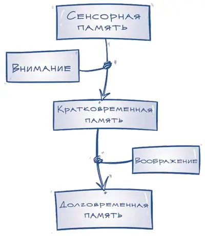 Внимание и память Внимание способность избирательно воспринимать информацию - фото 5