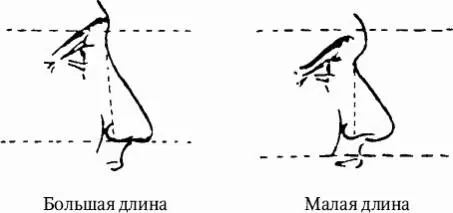 Ширина носа Шириной носа называется наибольшее расстояние между крыльями носа - фото 16