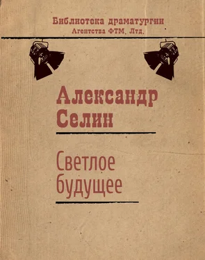 Александр Селин Светлое будущее обложка книги