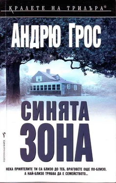 Андрю Грос Синята зона обложка книги