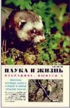 Скоро сорок лет как я веду на местном телевидении передачи о природе - фото 133