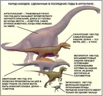 Аргентина как впрочем и вся Южная Америка территория мало исследованная - фото 218