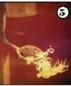 5 Облако кристаллов амальгамы возникшее за счет притока ртути по воздушному - фото 295