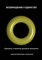 Живорад Славинский - Возвращение к Единству - Принципы и практика духовной технологии