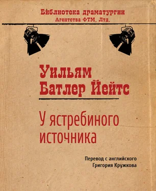 Уильям Йейтс У ястребиного источника обложка книги