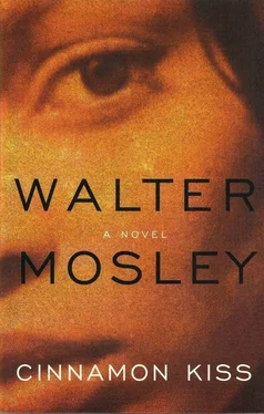 Walter Mosley Cinnamon Kiss обложка книги