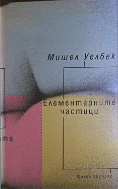 Мишел Уелбек Елементарните частици обложка книги