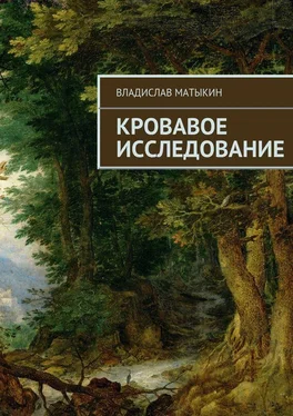 Владислав Матыкин Кровавое исследование обложка книги