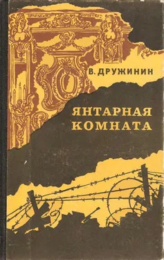 Владимир Дружинин Янтарная комната обложка книги