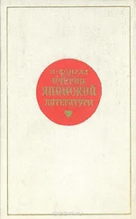 Николай Конрад - Очерки японской литературы