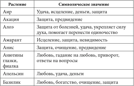 7 минут в день чтобы желание сбылось - фото 44