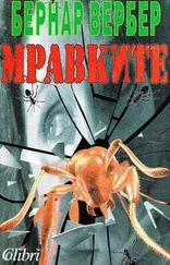 Бернар Вербер - Мравките