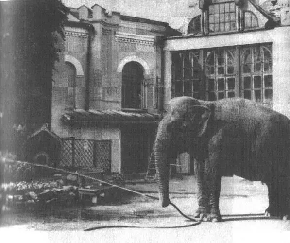 33 Врожденная любовь творца к метафорам подогретая российским ГейПейУу - фото 60