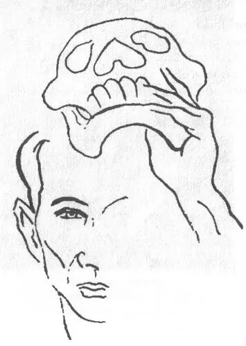 Само имя рассказчика ЭЙМИ лирическое Я заявленное уже в заглавии книги - фото 63