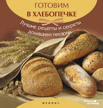 А. Шумов Готовим в хлебопечке. Лучшие рецепты и секреты домашней пекарни обложка книги