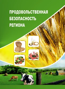 Алеся Анищенко Продовольственная безопасность региона обложка книги