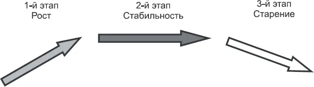 Рис 18Этапы жизненного цикла компании Следовательно вместо поиска - фото 9