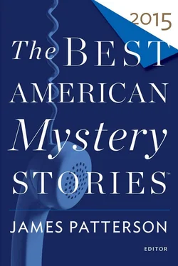 Doug Allyn The Best American Mystery Stories 2015 обложка книги