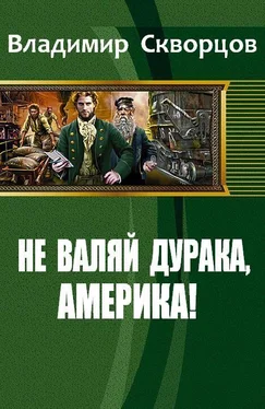 Скворцов Николаевич Не валяй дурака, Америка! обложка книги