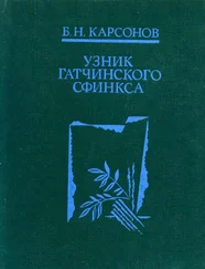 Борис Карсонов - Узник гатчинского сфинкса