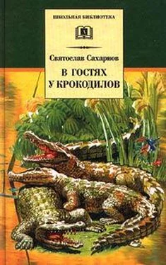 Святослав Сахарнов В гостях у крокодилов обложка книги