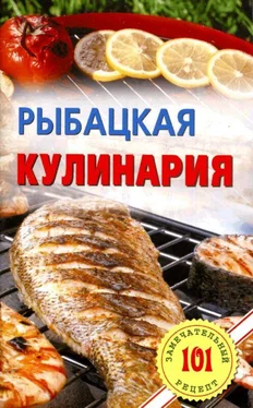 Владимир Хлебников Рыбацкая кулинария обложка книги