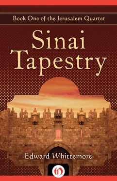 Edward Whittemore Sinai Tapestry обложка книги