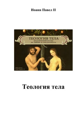 Неизвестный Автор Теология тела обложка книги