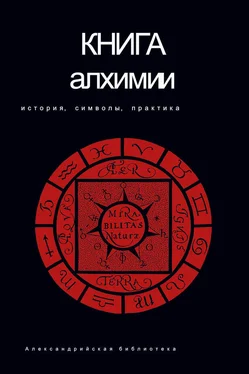 Владимир Рохмистров Книга алхимии. История, символы, практика обложка книги