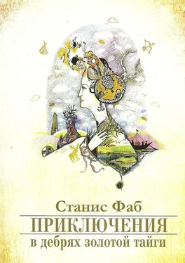 Станис Фаб Приключения в дебрях Золотой тайги обложка книги