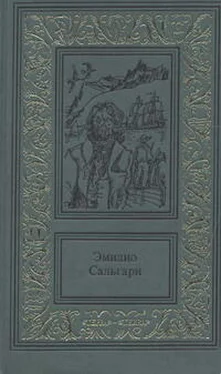 Эмилио Сальгари Тайны черных джунглей обложка книги