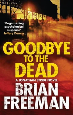 Brian Freeman Goodbye to the Dead (Jonathan Stride Book 7) обложка книги