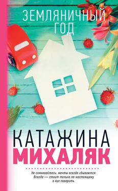 Катажина Михаляк Земляничный год обложка книги