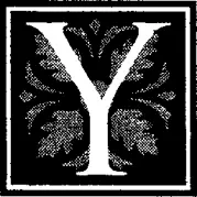 Yeuse et Yucca Вечнозеленый дуб и юкка Этот помогающий сохранить Прованс - фото 26