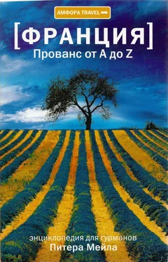 Питер Мейл Прованс от A до Z обложка книги