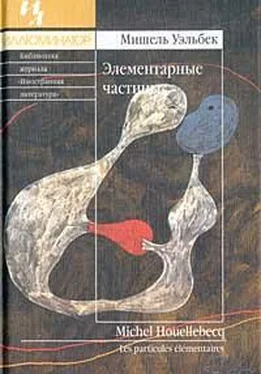 Сергей Потолицын О «Элементарных частицах» М. Уэльбека обложка книги