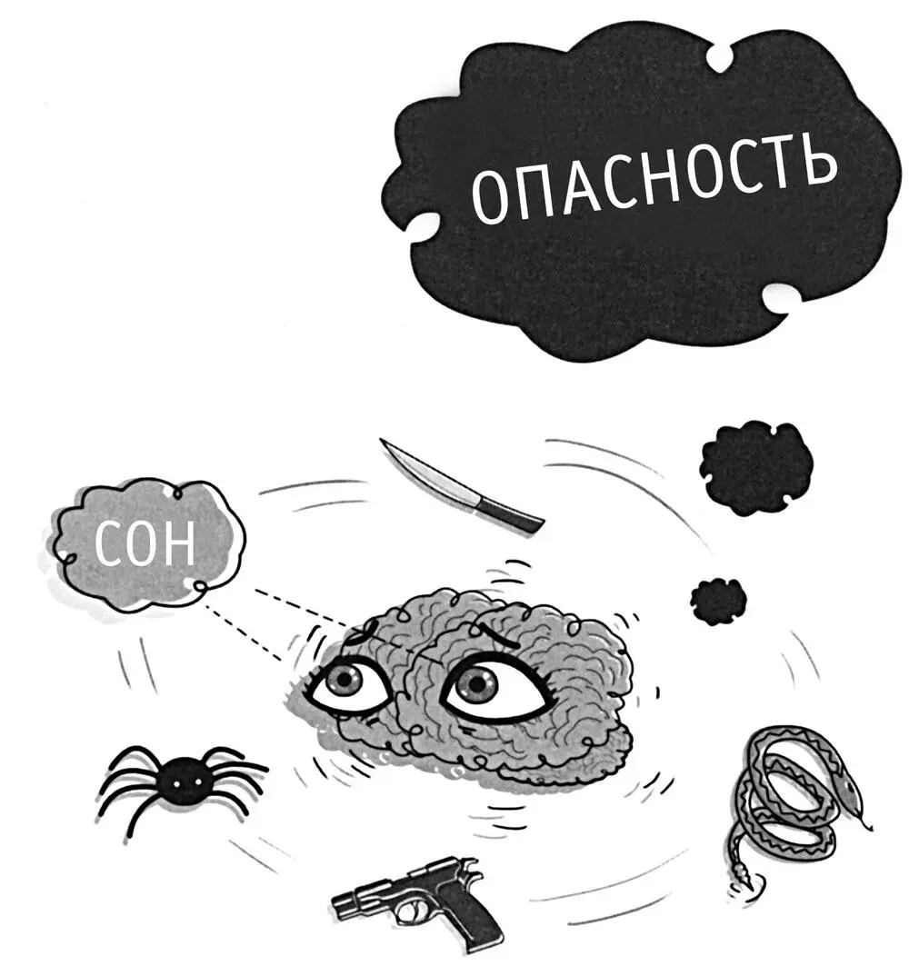 Рис 1 2 Амигдала доисторический центр нашего мозга регистрирующий угрозу - фото 5