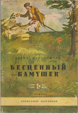 Ангел Каралийчев Бесценный камушек обложка книги