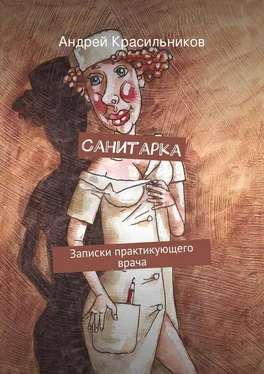Андрей Красильников Санитарка обложка книги