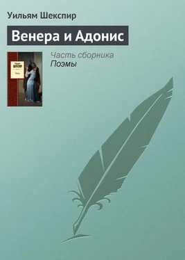 Уильям Шекспир Венера и Адонис обложка книги