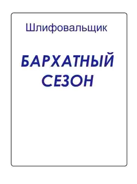 Шлифовальщик Бархатный сезон обложка книги