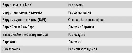 ВАЖНОВирусы гепатита В и С вызывают хроническое воспаление в печени и - фото 22