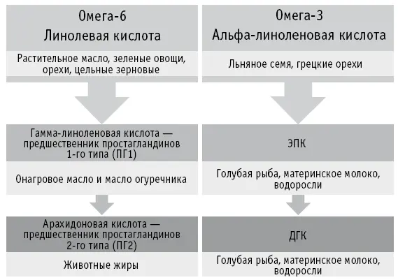 ВАЖНООмега3 и омега6 полиненасыщенные жирные кислоты необходимо включать в - фото 46