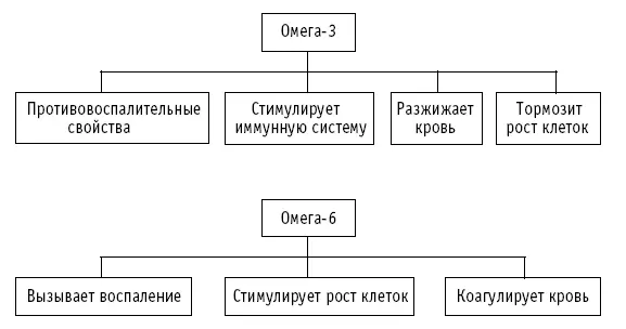 Когда равновесие нарушается в пользу омега6 кислот возрастает риск рака и - фото 47