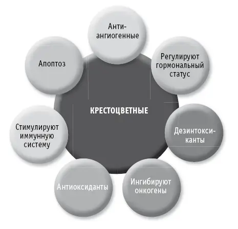 Потребление Чтобы получить противораковый эффект желательно употреблять - фото 64