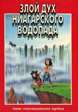 Розмари Клаус Злой дух Ниагарского водопада обложка книги