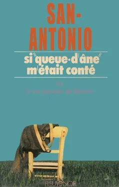 Frédéric Dard Si « queue-d'âne » m'était conté ou La vie sexuelle de Bérurier обложка книги